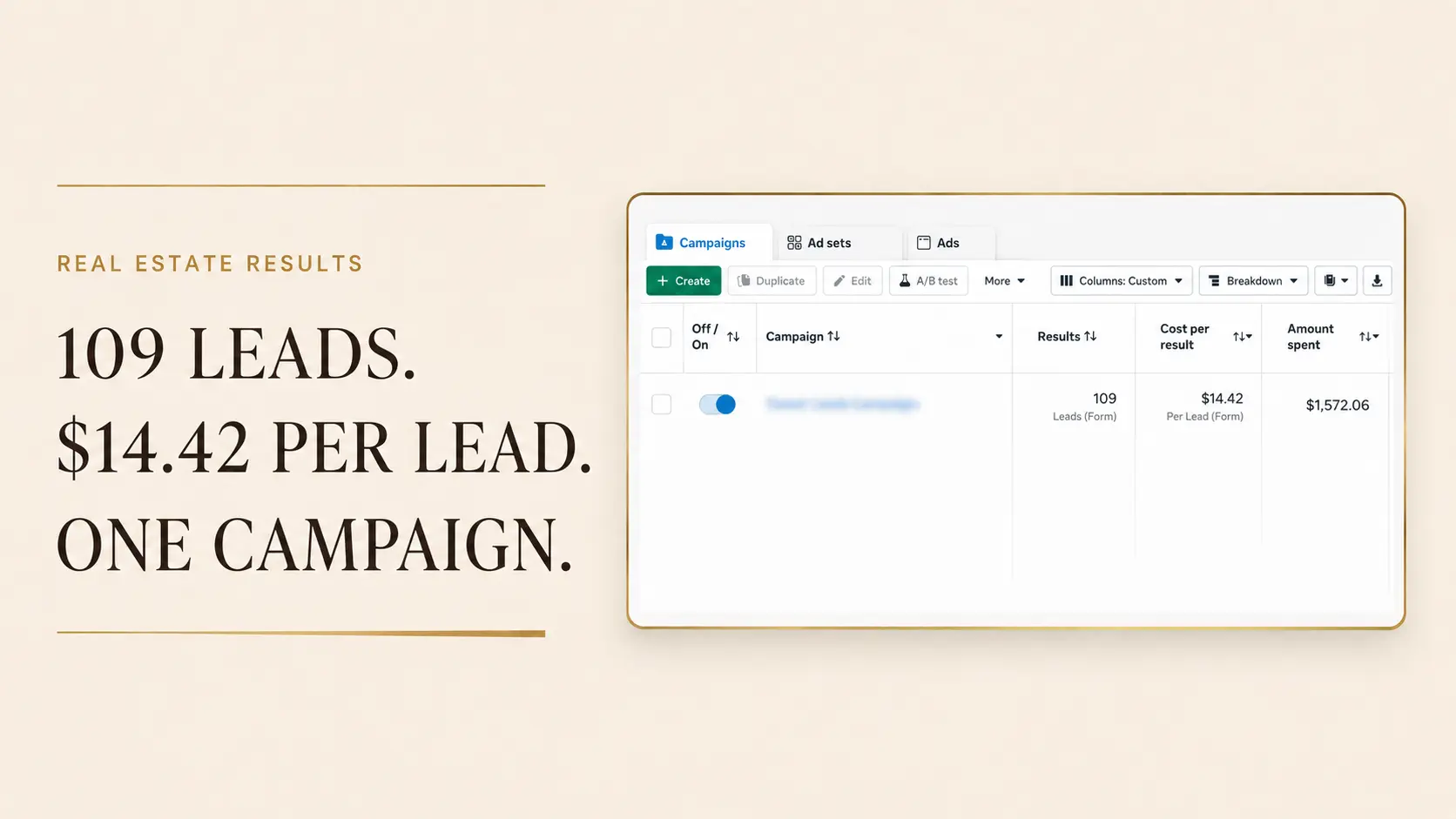 Real estate advertising campaign reporting 109 leads from one campaign