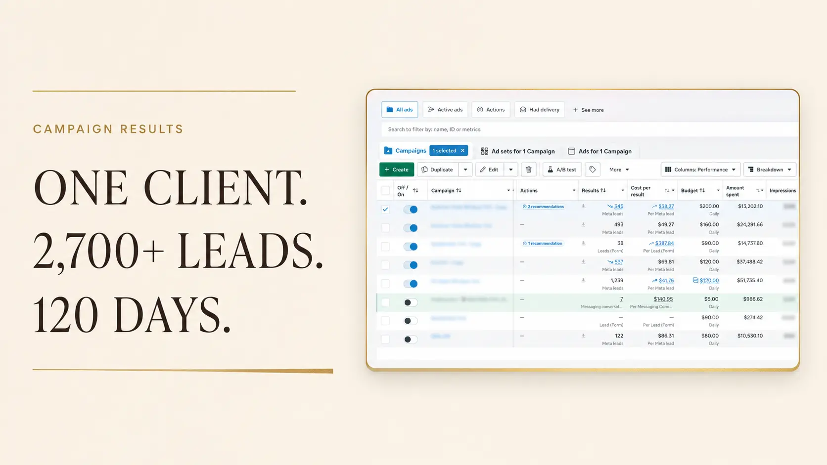 Campaign dashboard supporting more than 2,700 leads generated for one client over 120 days